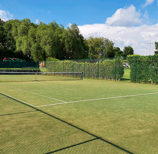 sport_fields_service