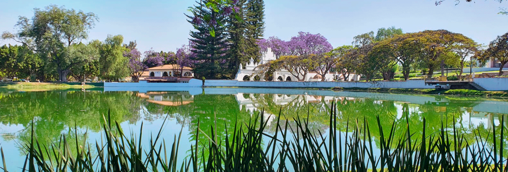 Jardín lago